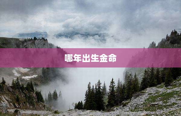 哪年出生金命