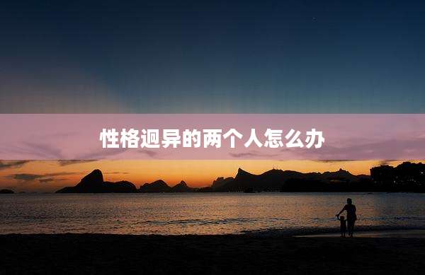 性格迥异的两个人怎么办