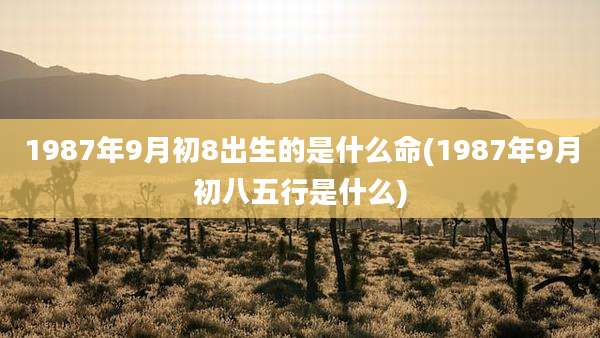 1987年9月初8出生的是什么命(1987年9月初八五行是什么)