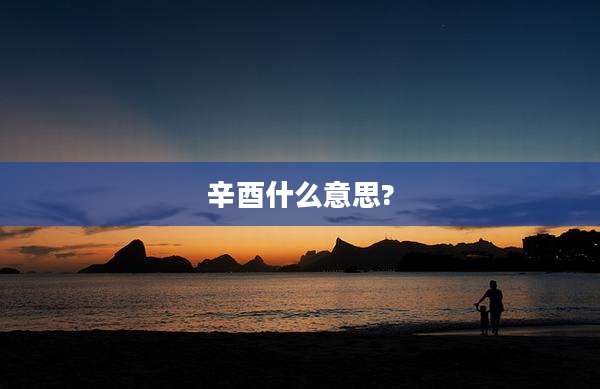 辛酉什么意思?
