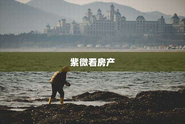 紫微看房产