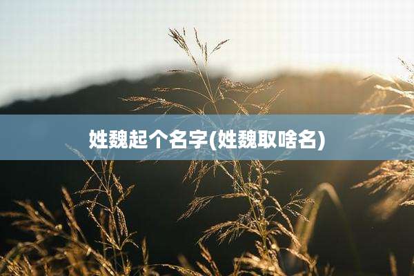 姓魏起个名字(姓魏取啥名)