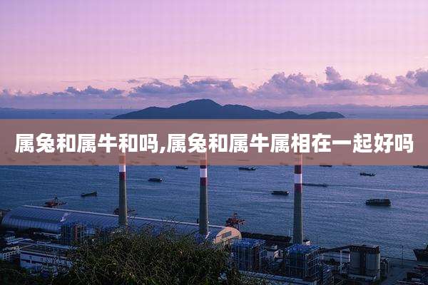 属兔和属牛和吗,属兔和属牛属相在一起好吗