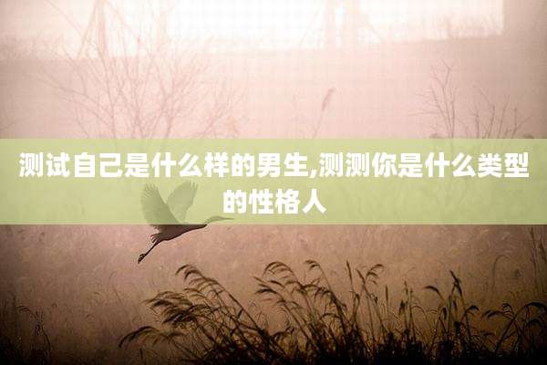 测试自己是什么样的男生,测测你是什么类型的性格人