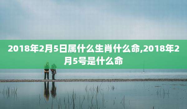 2018年2月5日属什么生肖什么命,2018年2月5号是什么命