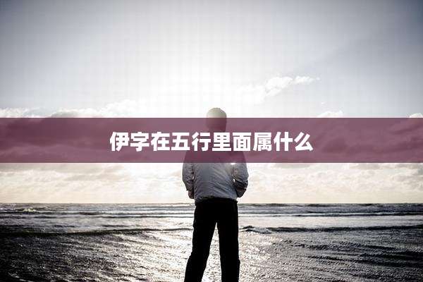 伊字在五行里面属什么