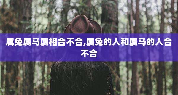 属兔属马属相合不合,属兔的人和属马的人合不合