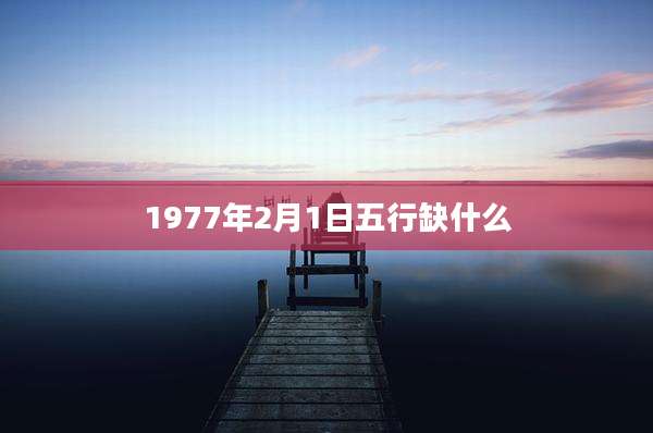 1977年2月1日五行缺什么