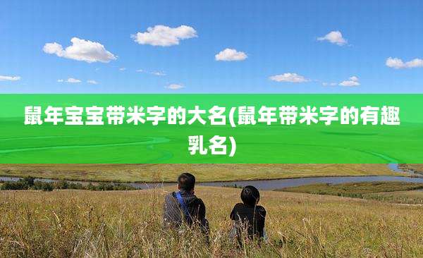 鼠年宝宝带米字的大名(鼠年带米字的有趣乳名)