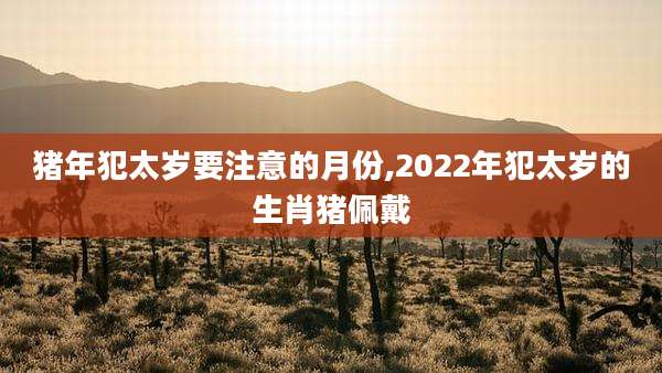 猪年犯太岁要注意的月份,2022年犯太岁的生肖猪佩戴