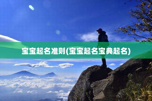 宝宝起名准则(宝宝起名宝典起名)