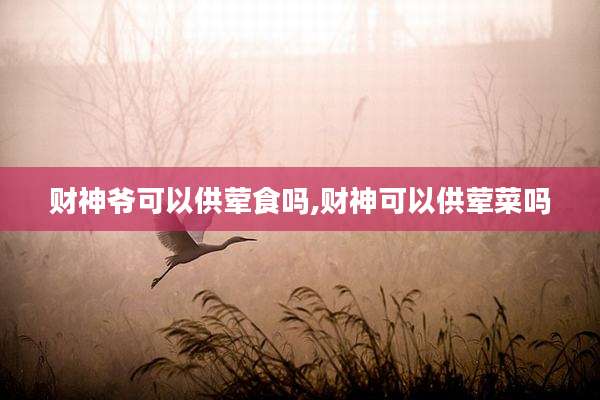 财神爷可以供荤食吗,财神可以供荤菜吗