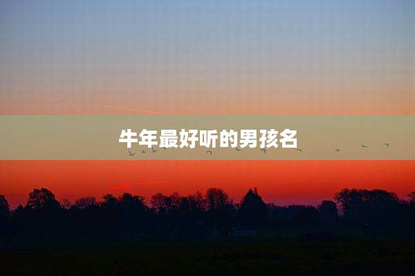 牛年最好听的男孩名