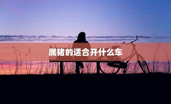属猪的适合开什么车