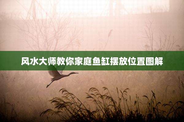 风水大师教你家庭鱼缸摆放位置图解