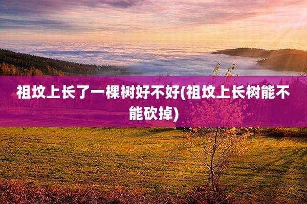 祖坟上长了一棵树好不好(祖坟上长树能不能砍掉)