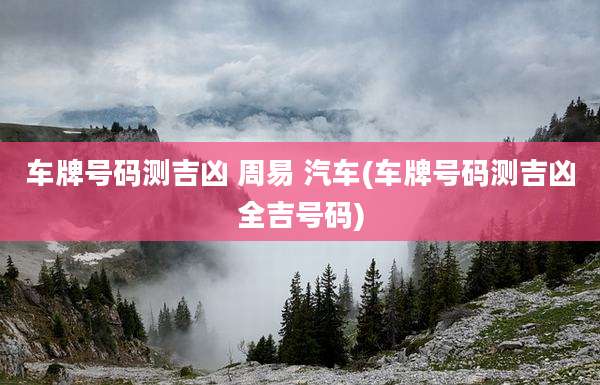 车牌号码测吉凶 周易 汽车(车牌号码测吉凶全吉号码)