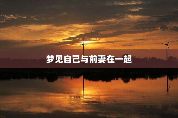 梦见自己与前妻在一起