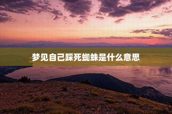梦见自己踩死蜘蛛是什么意思