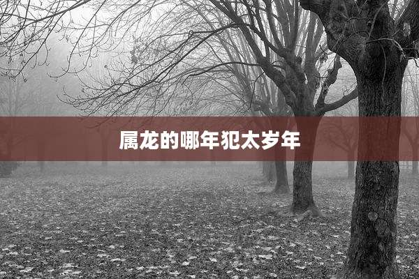 属龙的哪年犯太岁年