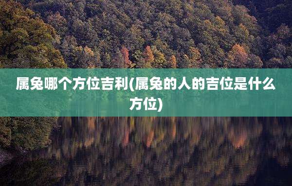 属兔哪个方位吉利(属兔的人的吉位是什么方位)