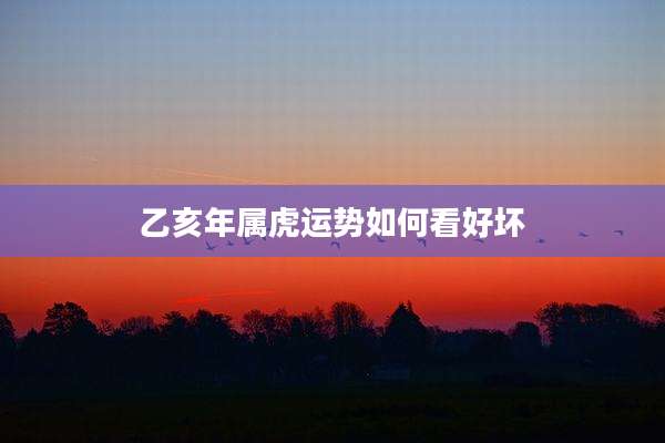 乙亥年属虎运势如何看好坏