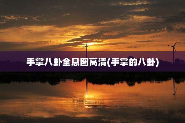 手掌八卦全息图高清(手掌的八卦)