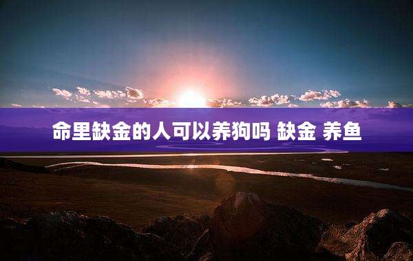 命里缺金的人可以养狗吗 缺金 养鱼