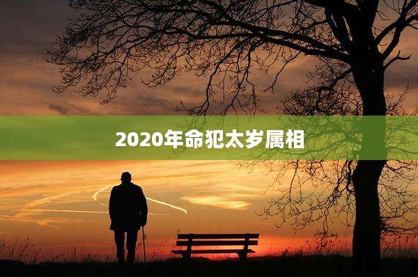 2020年命犯太岁属相