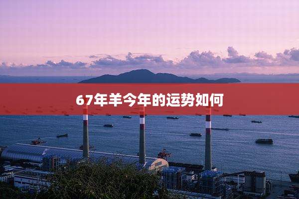 67年羊今年的运势如何