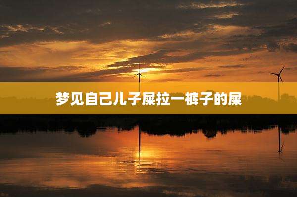 梦见自己儿子屎拉一裤子的屎