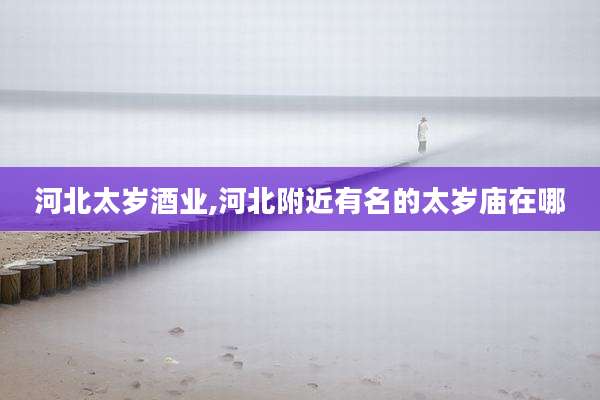 河北太岁酒业,河北附近有名的太岁庙在哪
