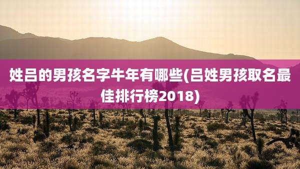 姓吕的男孩名字牛年有哪些(吕姓男孩取名最佳排行榜2018)