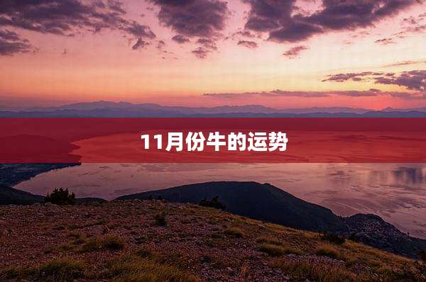 11月份牛的运势