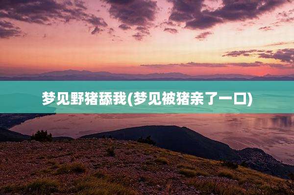 梦见野猪舔我(梦见被猪亲了一口)