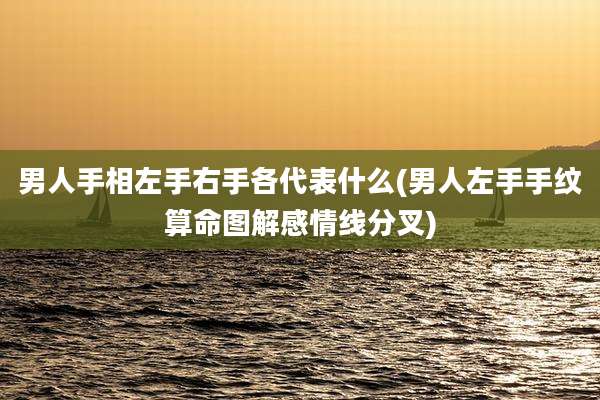 男人手相左手右手各代表什么(男人左手手纹算命图解感情线分叉)
