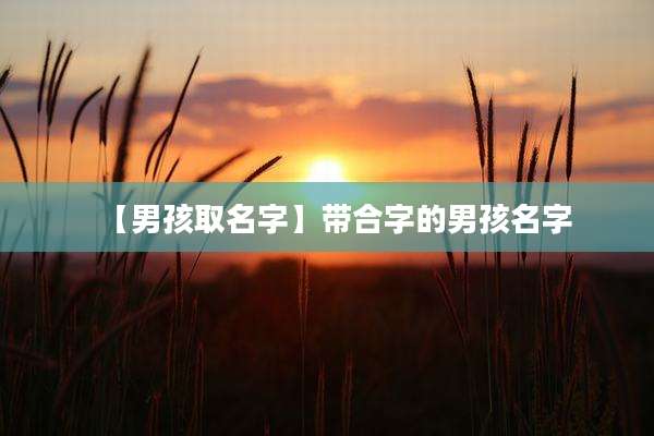 【男孩取名字】带合字的男孩名字