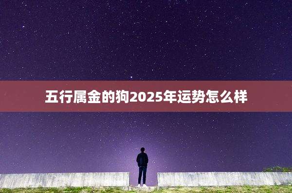 五行属金的狗2025年运势怎么样