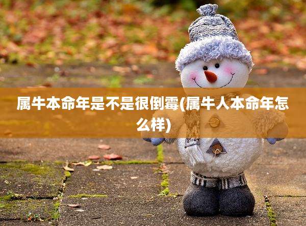 属牛本命年是不是很倒霉(属牛人本命年怎么样)