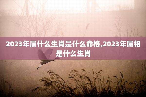 2023年属什么生肖是什么命格,2023年属相是什么生肖