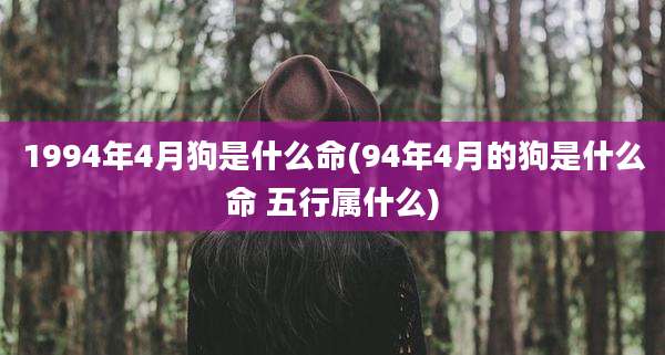 1994年4月狗是什么命(94年4月的狗是什么命 五行属什么)