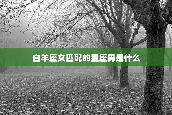 白羊座女匹配的星座男是什么