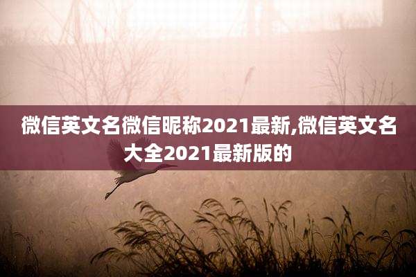 微信英文名微信昵称2021最新,微信英文名大全2021最新版的
