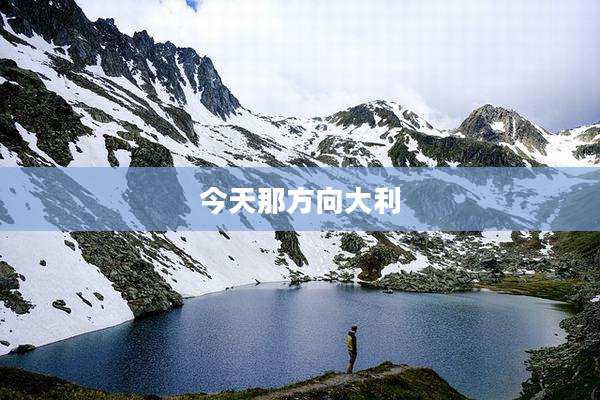 今天那方向大利