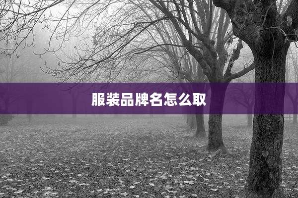 服装品牌名怎么取