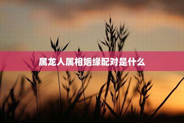 属龙人属相姻缘配对是什么
