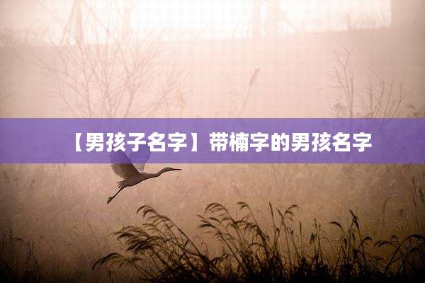 【男孩子名字】带楠字的男孩名字