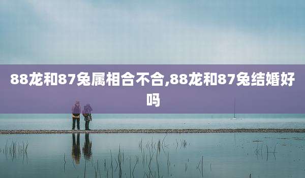 88龙和87兔属相合不合,88龙和87兔结婚好吗