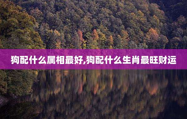 狗配什么属相最好,狗配什么生肖最旺财运