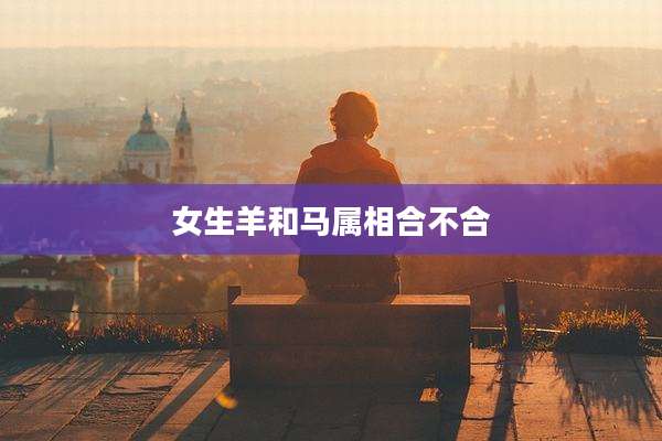 女生羊和马属相合不合